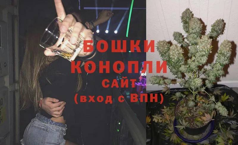 Конопля OG Kush  хочу   Котлас 